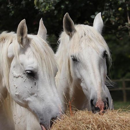 Ferme Clatot Otel Les Trois Pierres Dış mekan fotoğraf